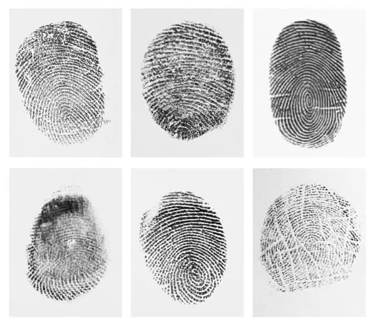 Good fingerprint example